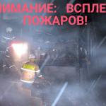 Фотодокумент 